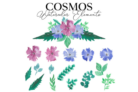 Cosmos Watercolor Package: A Creative Asset Breakdown
