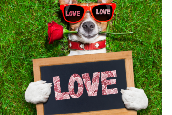 Elevate Your Valentine's Designs with Filled Love Clipart 3 Elements